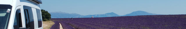 White van parked on a dirt path next to a lavender field under a clear blue sky.