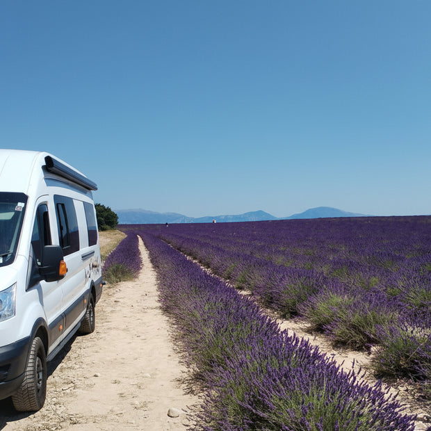 White van parked on a dirt path next to a lavender field under a clear blue sky.